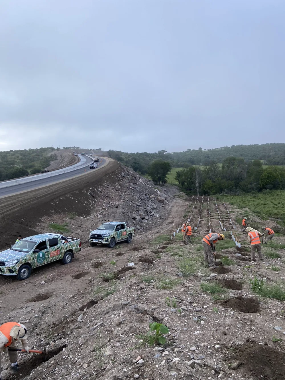 Plantación de remediación ambiental